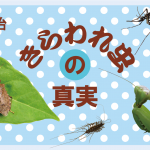 きらわれ虫の真実 谷本雄治 大切な家庭菜園に招かれざる客がやってきたら？　虫と対話するナチュラリストが、彼らの生態と意外な魅力を紹介し、ほどよいつきあい方を提案します。