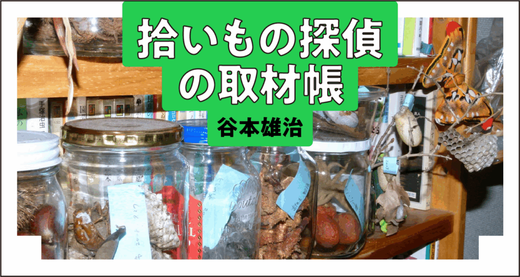 散歩の途中で見つけた「拾いもの」。謎だらけの物体と落とし主の正体に、プチ生物研究家が探偵ゴコロで迫る。