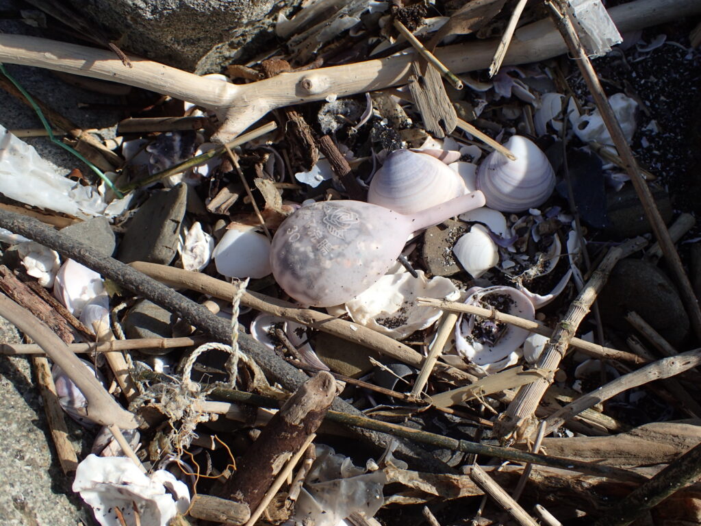 海岸でときどき目にする浣腸の容器。なんとも独特の形をしている